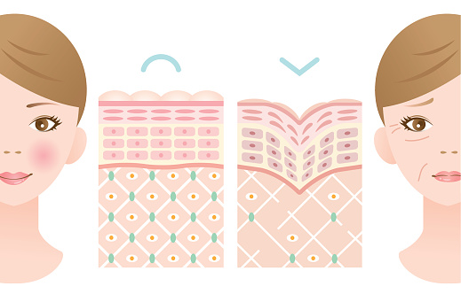 Antioxidant found to slow signs ...