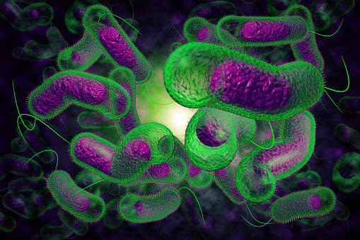 New way to stop cholera infectio...