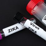 Lyme disease vs. Zika virus