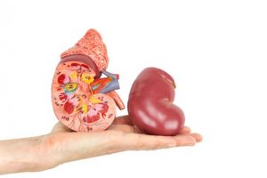 Enlarged kidney