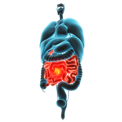 Healthy gut: Leaky gut syndrome,...