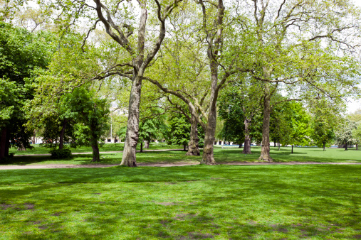 Nature-deficiency disorder: What...