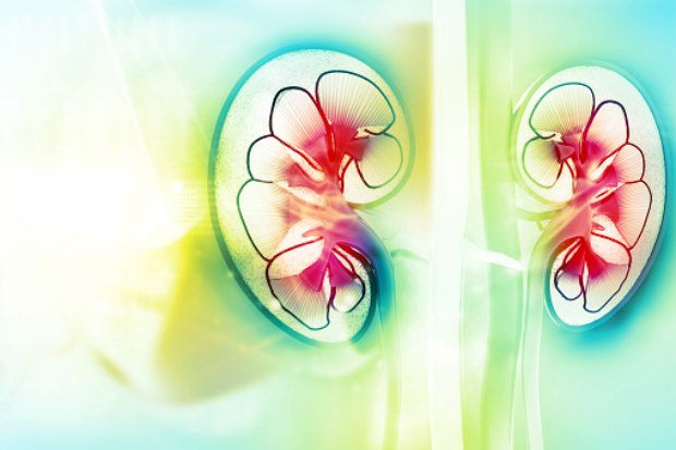 Nephrotic syndrome (excess prote...