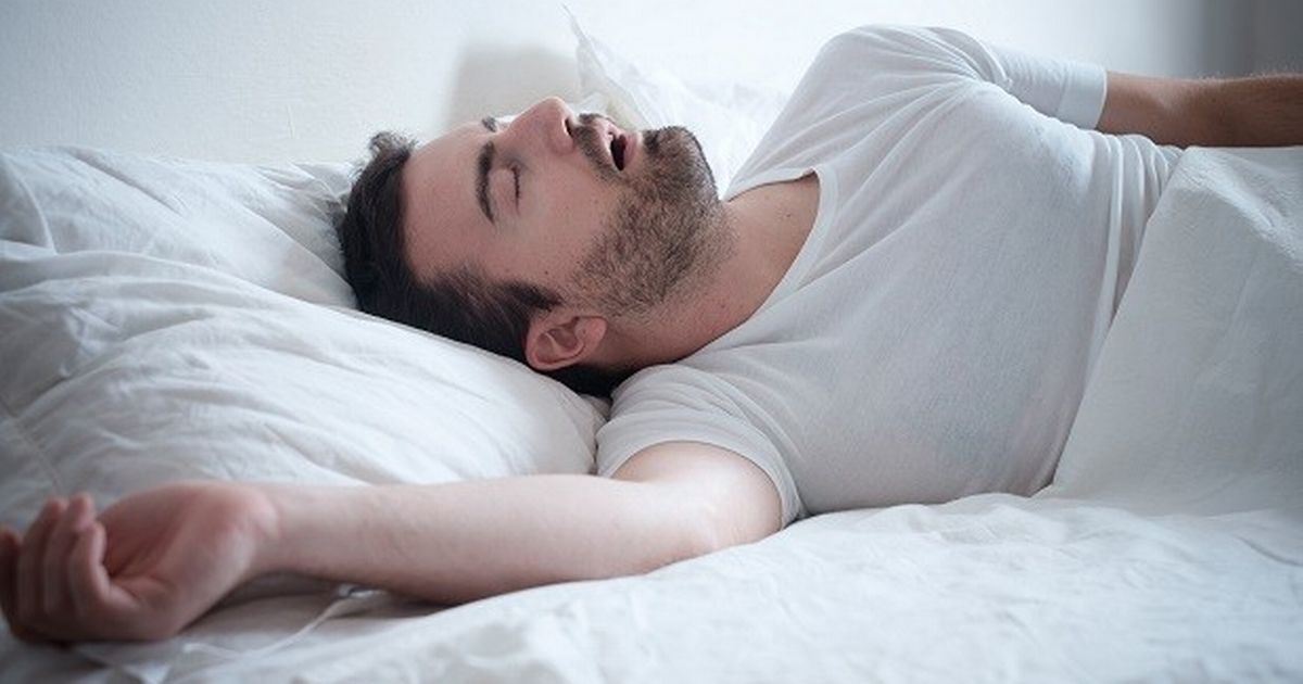 Muscle Not Brain The Cause Of Sleep Loss And Tiredness Study muscle-not-brain-the-cause-of-sleep-loss-and-tiredness-study
