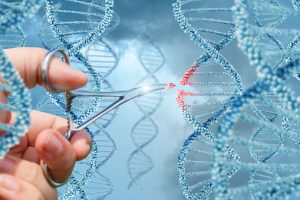 the future of gene editing