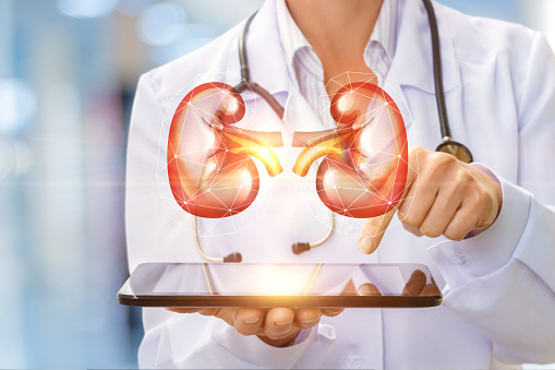 Air pollution leads to kidney da...