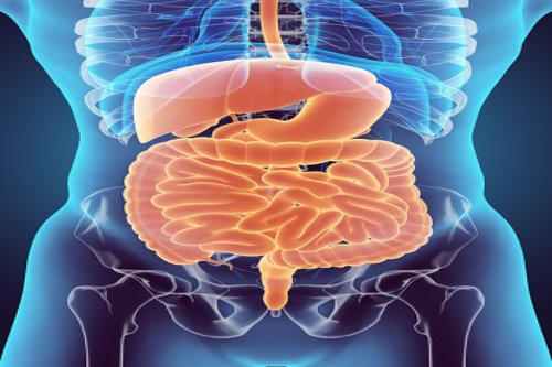 What causes irregular bowel move...