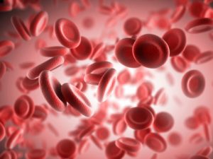 can you increase red blood cells