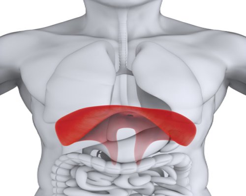 Diaphragm pain: Causes and treat...