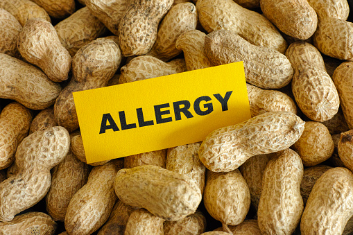 Genetic clue for peanut allergy ...