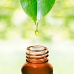 Essential oils for aging skin: Preventing & treating wrinkles naturally