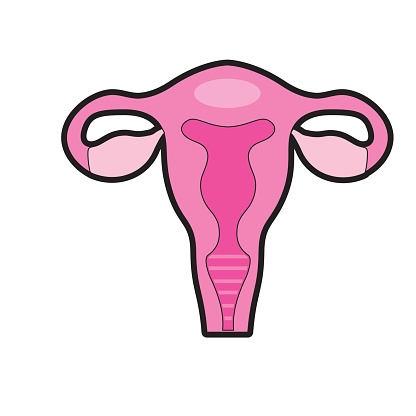 What are the causes of endometri...