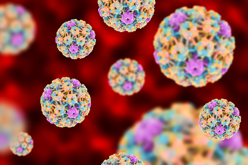 Study finds that HPV has a high ...