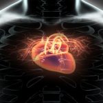 Cardiomyopathy types