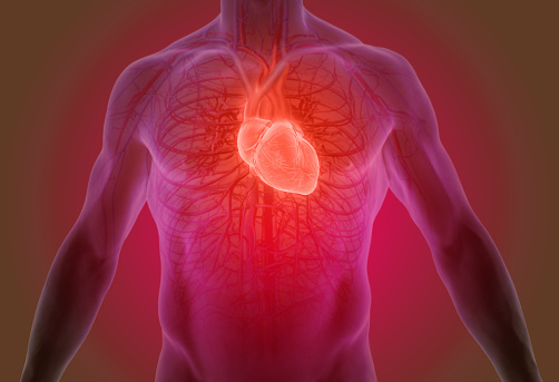 Heart attack damage reduced with...