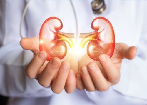 Weekly health news: Renovascular...