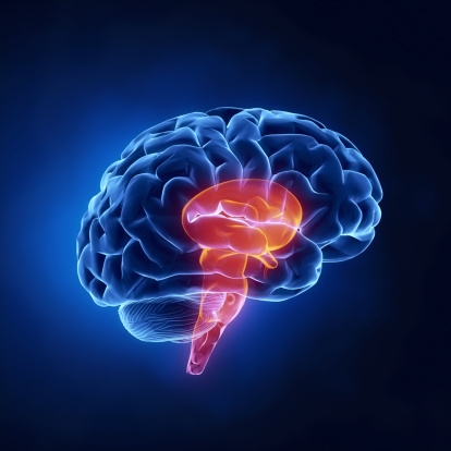 Brain Stem Stroke: Causes, Sympt...