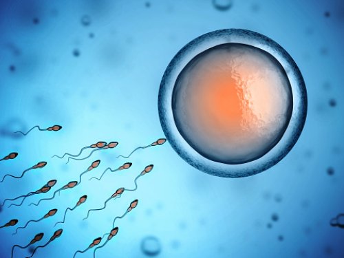 Low Sperm Count Linked to Increa...
