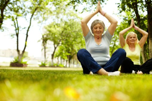 Menopause Update: Yoga for Menop...