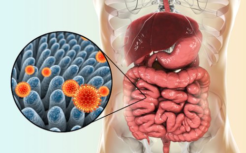 Gut Bacteria Linked to Sepsis-Re...