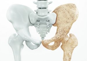 osteoporosis kidney function