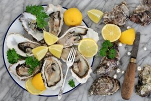 oysters blood circulation