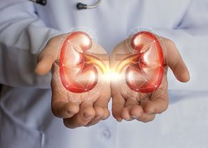 Glomerular Filtration Kidney Disease