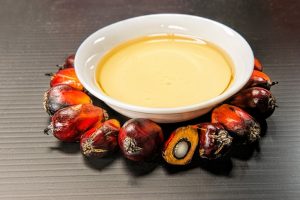 palm oil cholesterol