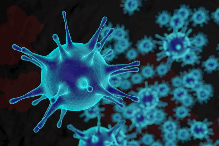 Immune System Improves Gut Bacte...