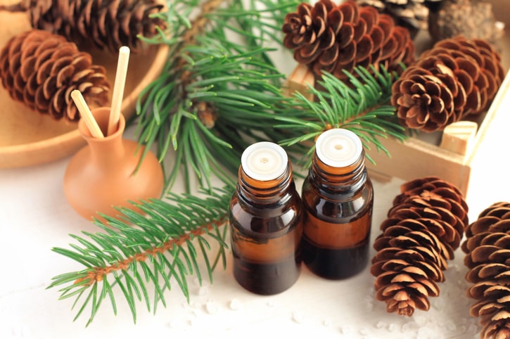 Seed Oils May Help Lower LDL Cho...