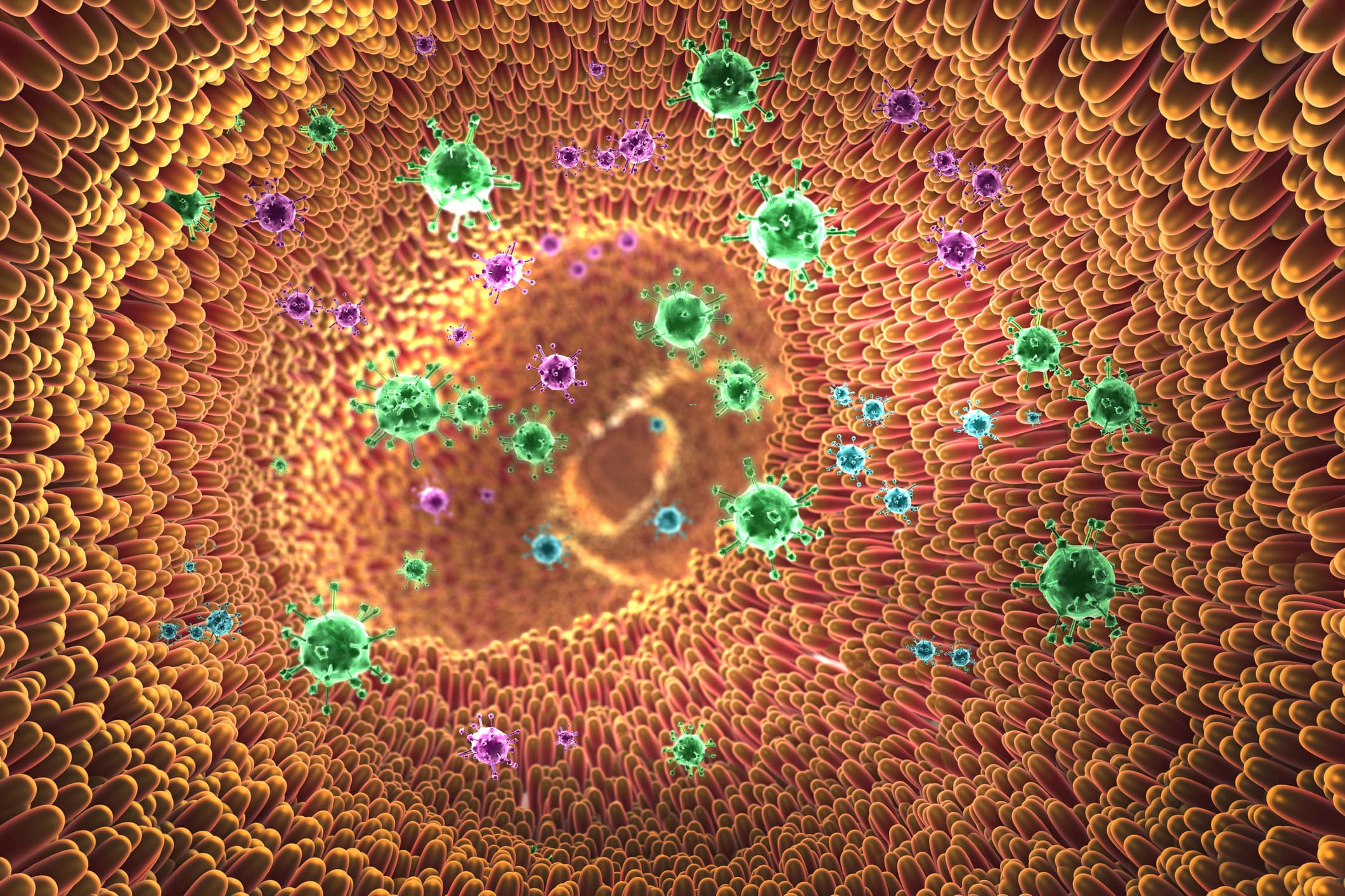 Gut Bacteria Found Associated wi...
