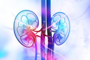 chronic kidney disease falls