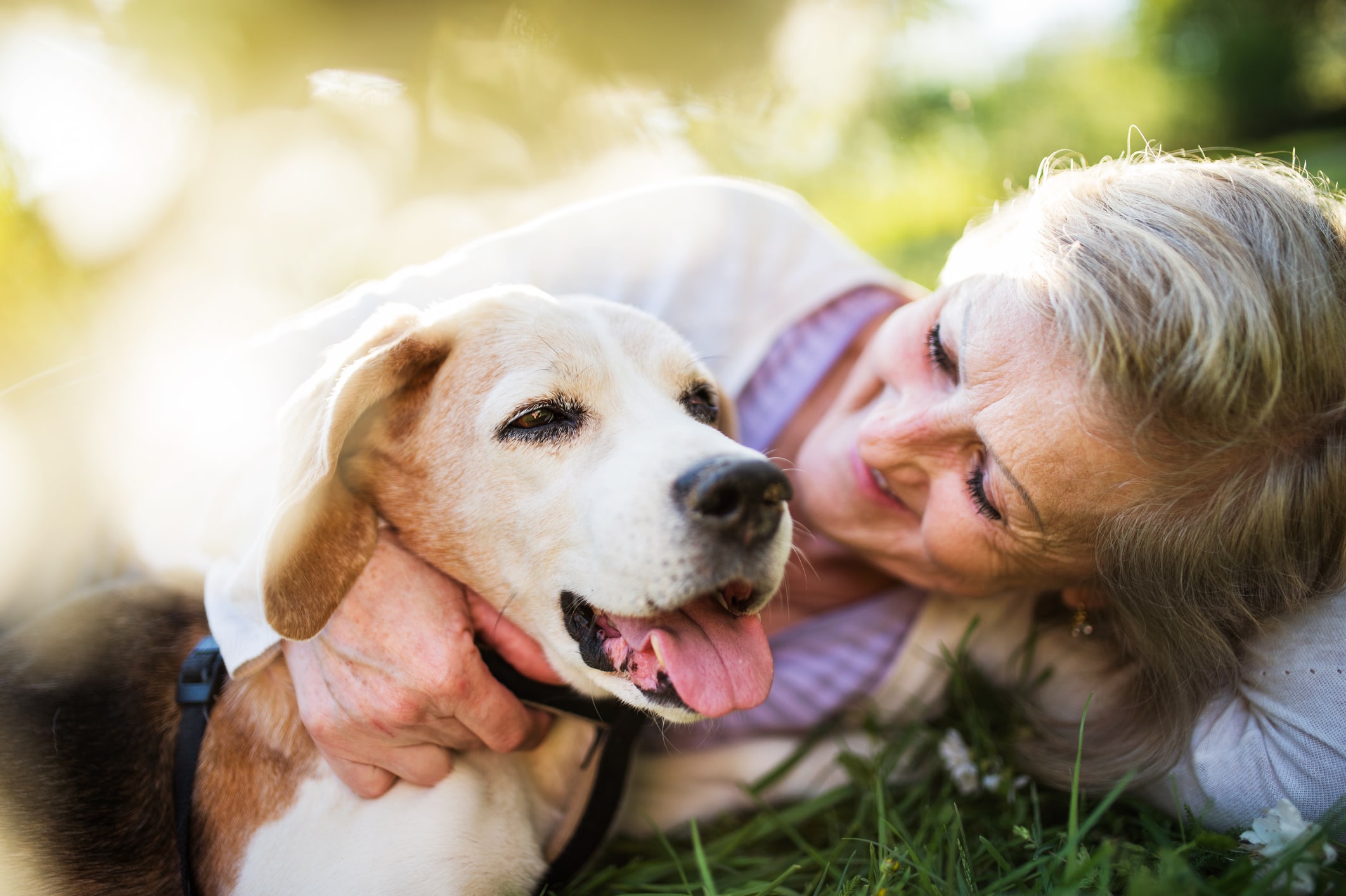Owning a Dog Leads to Improved H...