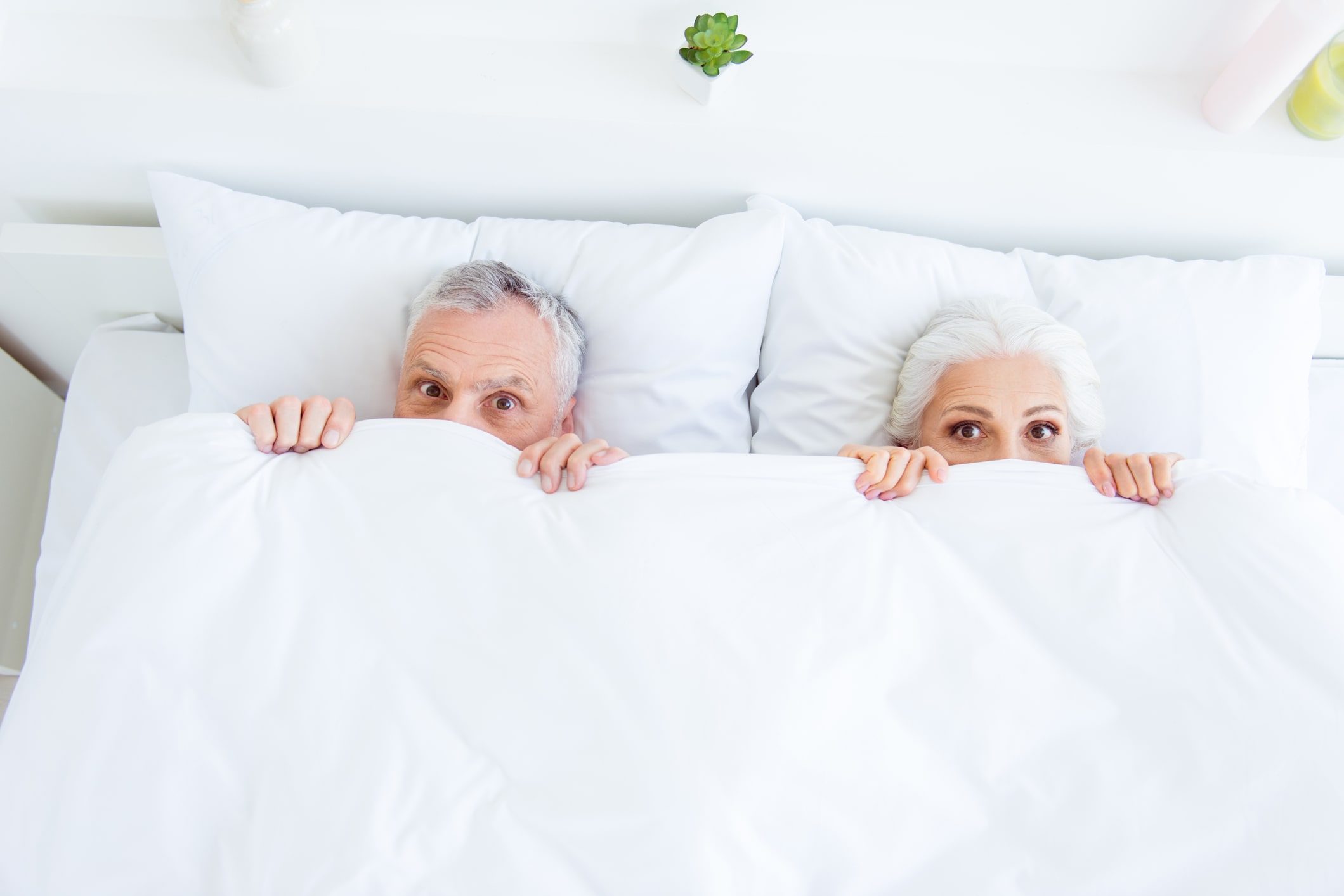 Sexually Active Older Adults Are...