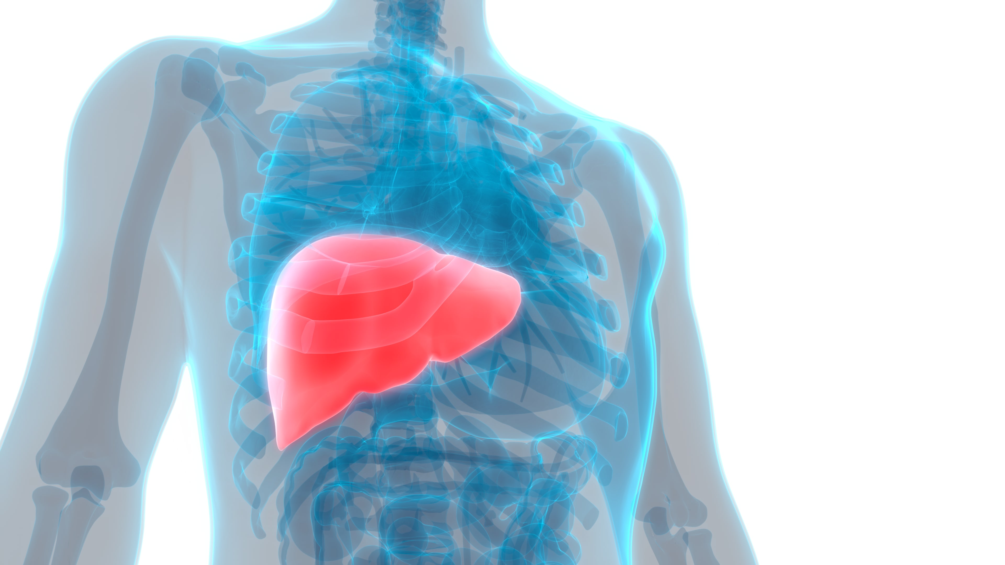 Protect Your Liver Health with T...