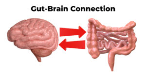 brain-gut connection. Communication between these organs is important to understand the role of intestinal flora in the emergence of diseases such as depression. 3D rendering