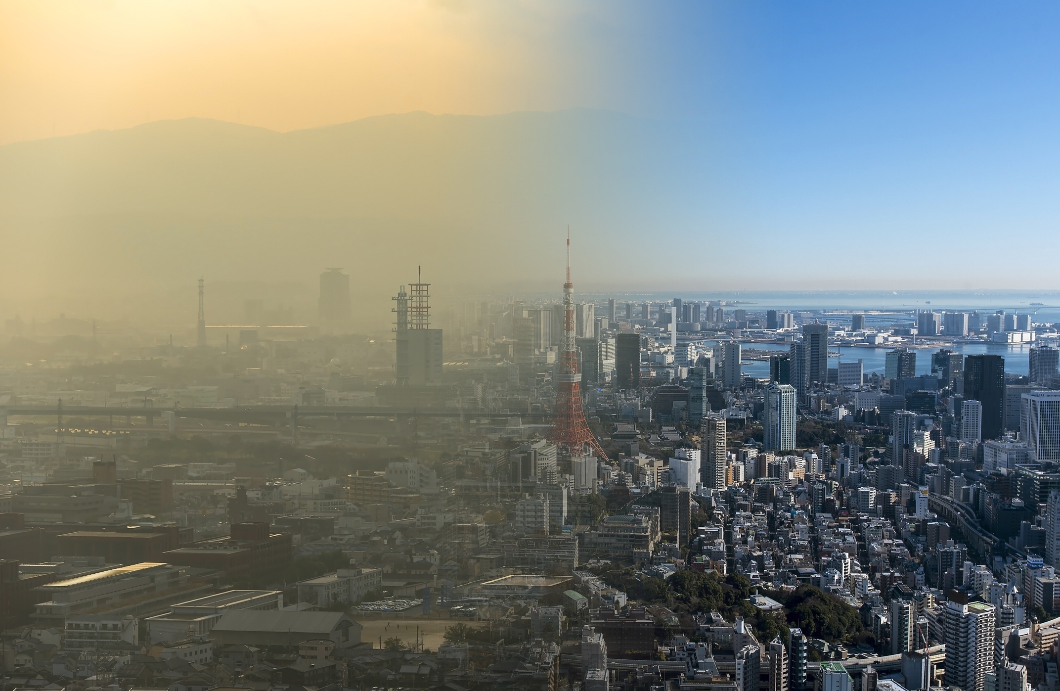 Study Says Smog May Increase the...