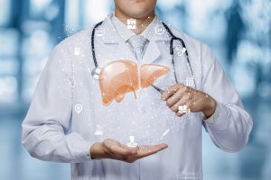 The concept of treatment of the liver. The doctor and liver of the blurred background.