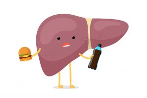 Sick unhealthy ill liver character hold in hand fast food soda beverage bottle and burger. Human exocrine gland organ destruction problem concept. Vector bad nutrition addiction hepatic illustration