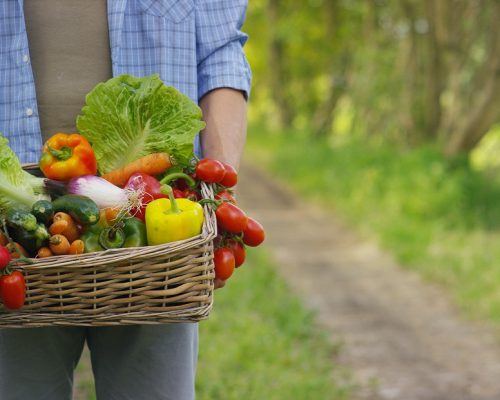 Portrait of a happy young farmer holding fresh vegetables in a basket. Concept biological, bio products, bio ecology, grown by own hands, vegetarians, salads healthy