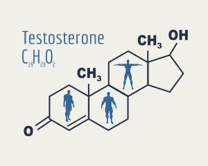 Chemical molecular formula hormone testosterone. Infographics illustration. Man silhouette
