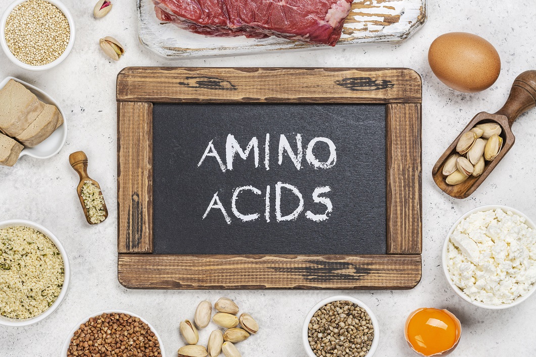 Research Suggests That a Diet of Essential Amino Acids Could Keep