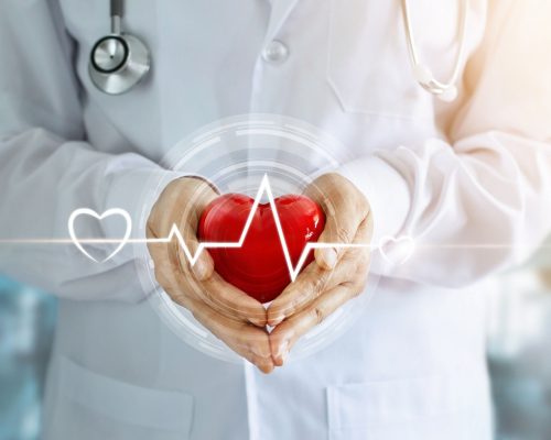 Doctor with stethoscope and red heart shape with icon heartbeat in hands on hospital background