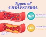 Six Foods That Lower Cholesterol