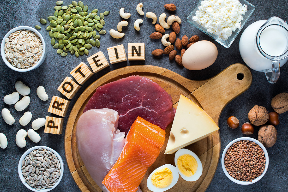 A Variety of Protein Sources in ...