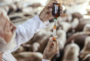 Heavy Antibiotic Use May Boost t...