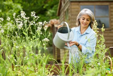 Moving More & Doing Chores ...
