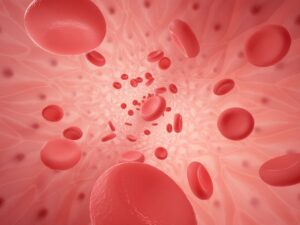 Inside space of empty healthy human anatomical vessel with red blood cells - erythrocytes and endothelium cells, 3d rendering