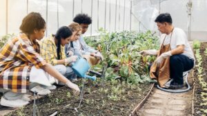 A garden specialist is teaching a group of students in a vegetable plot.